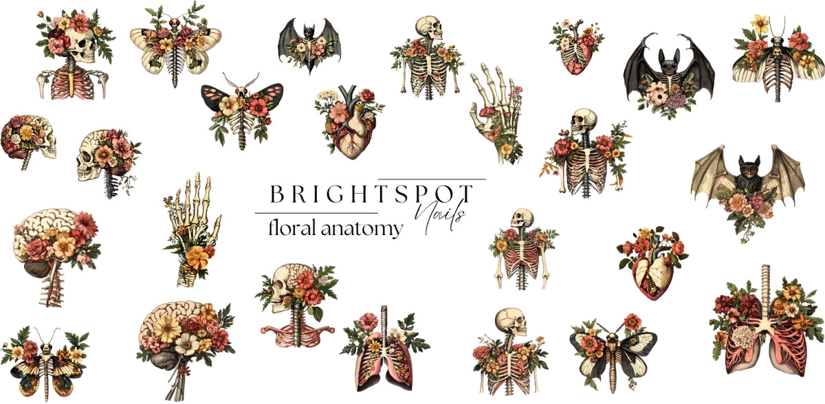 floral anatomy