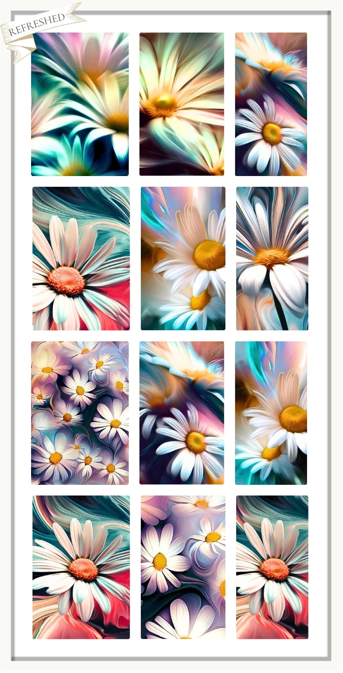 Daisy Daisy