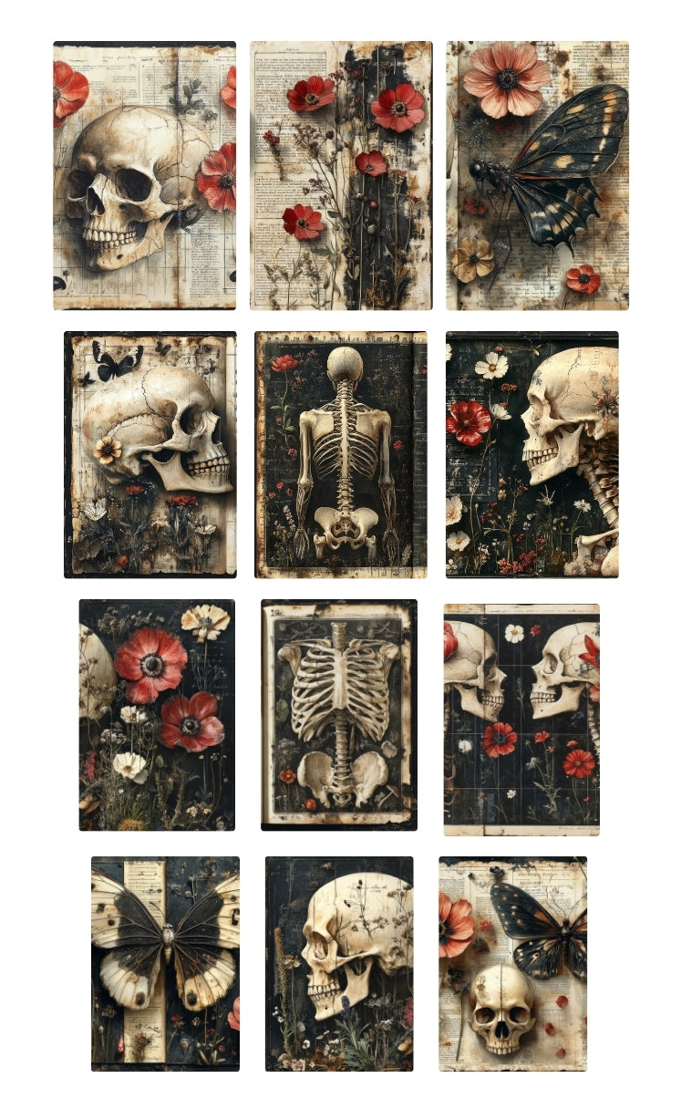 botanical anatomy