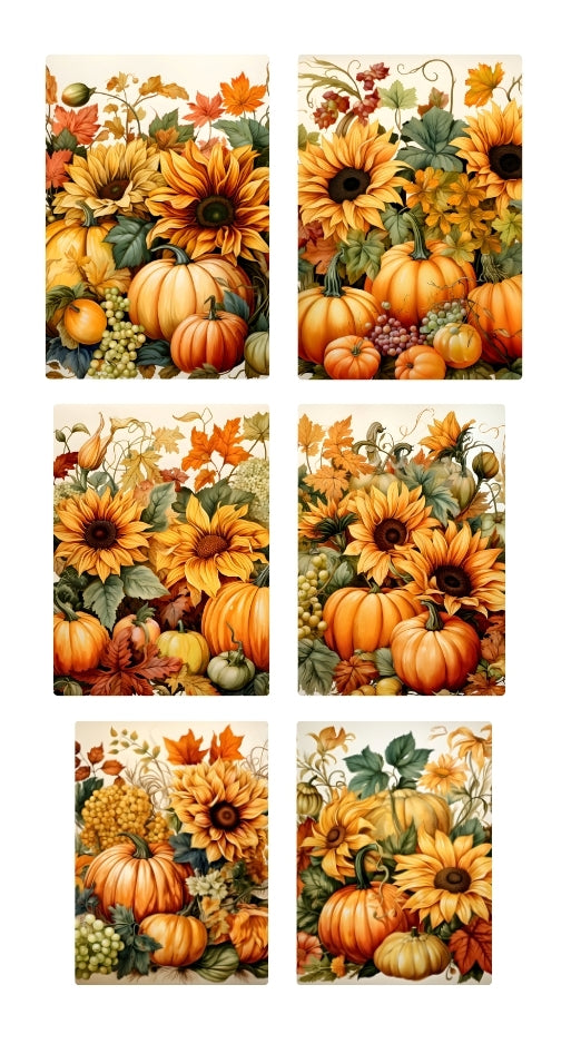 Waterslide Nail Decal | PUMPKIN FEST